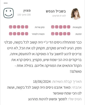 דיג יי לחתונה 